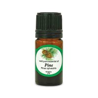 100% pure Pine essential oil
