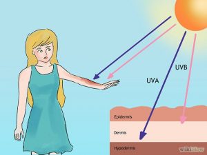 SPF and UV rays